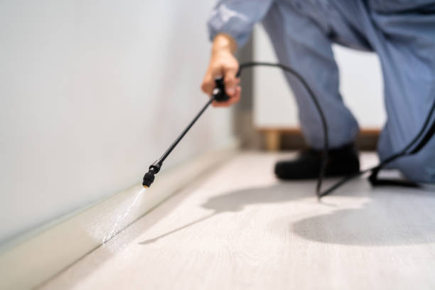 Bed Bug Pre-Treatment Preparation Assessment in Fairview-Ferndale