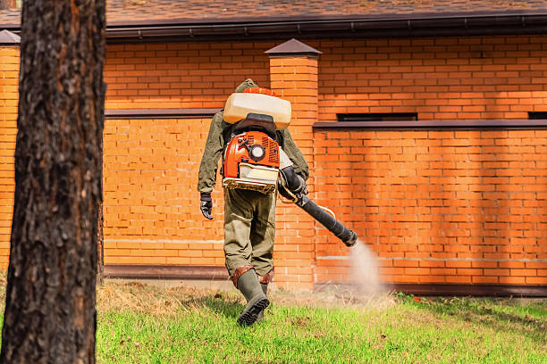 Bed Bug Clearance Verification and Documentation in Fairview-Ferndale
